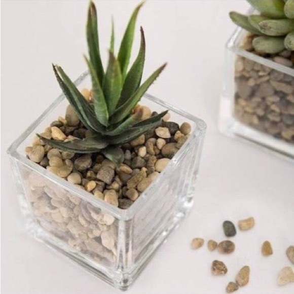 🪨 RIVER ROCK BUNDLE 🪨 - Picture 2 of 4